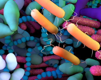 The imperative need for standards in microbiome research